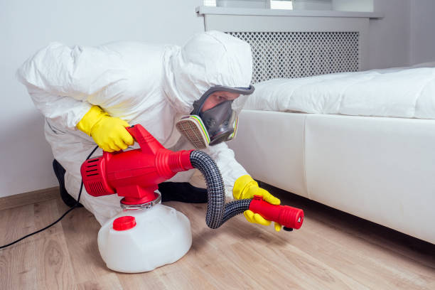 Best Pest Prevention Services  in Phelan, CA